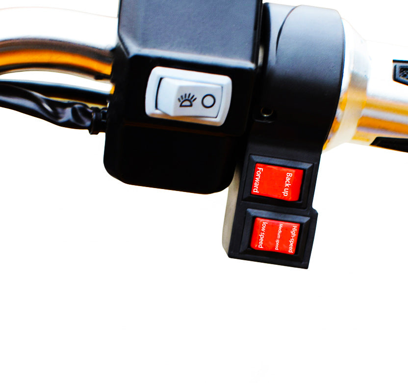 RooRig Electric 3-Wheel Cargo Trike | Heavy-Duty Farm & Utility Electric Vehicle (Optional Hydraulic Tipper)